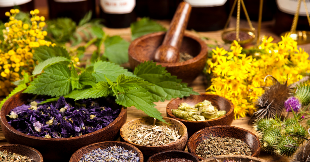 An assortment of dried and fresh herbs, including nettle, St. John’s Wort, and lavender, arranged in wooden bowls with a mortar and pestle, showcasing the variety of common home remedies for natural healing.