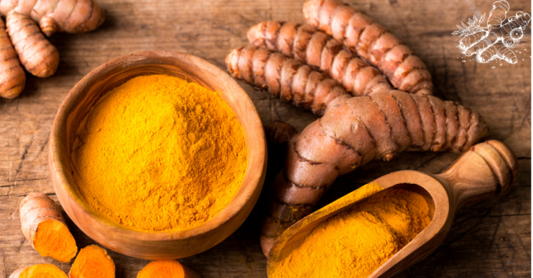 Close-up image showcasing the turmeric plant, with fresh turmeric roots arranged on a rustic wooden surface alongside a wooden bowl and scoop filled with bright orange turmeric powder. This vibrant and earthy composition highlights the natural origins and health benefits of the turmeric plant, often celebrated for its medicinal properties and use in traditional remedies.